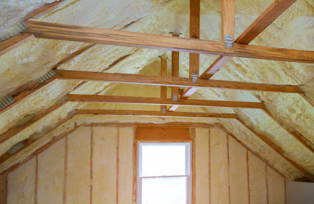 Best Residential Insulation in Chittenango, NY